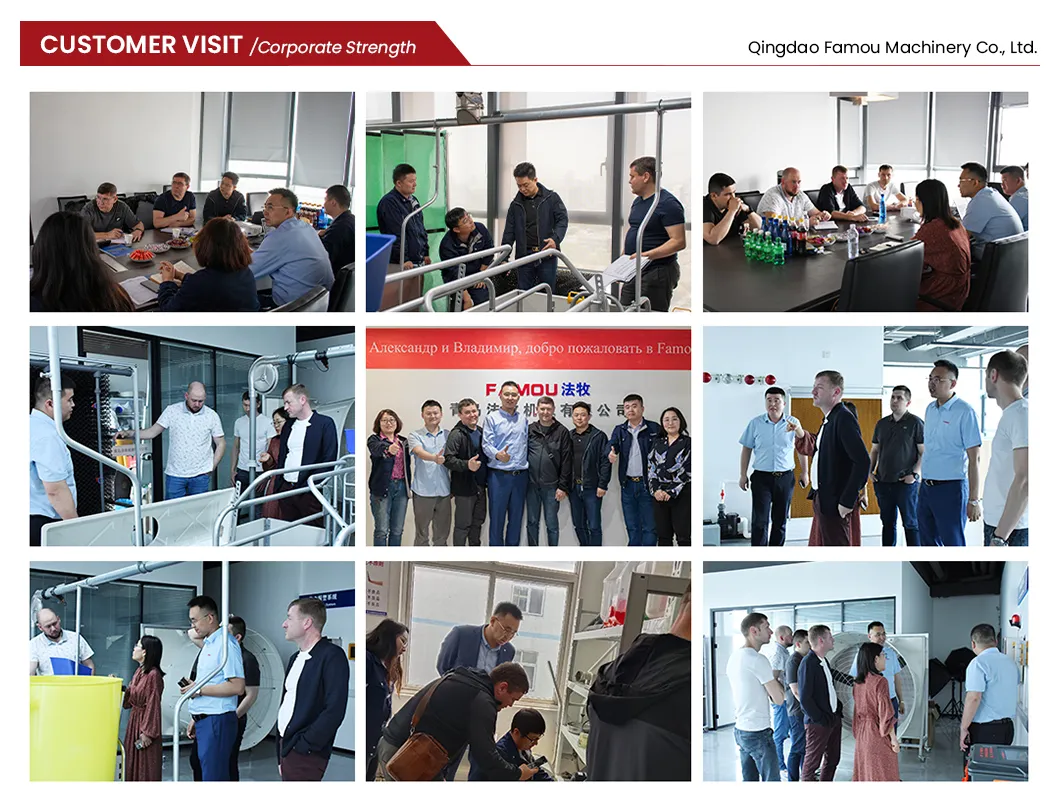 New Design Chicken Poultry Layer Farm a Type Cage with 275g Zinc Hot Dipped Galvanized Magnesium-Zinc Plated Wire Automated Trolley Feed