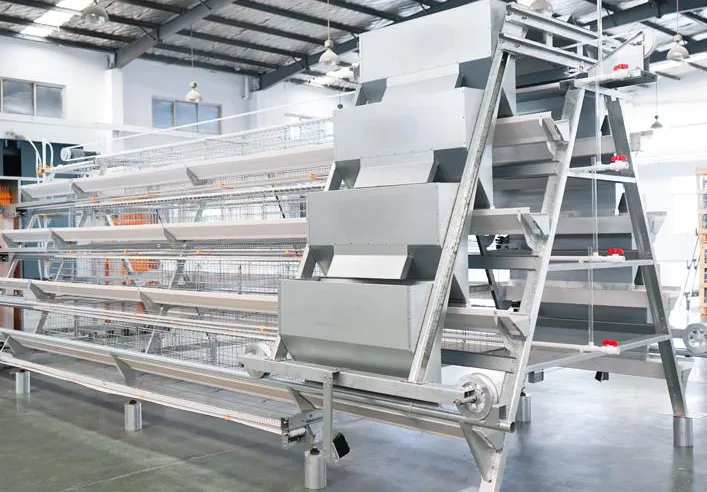 New Design Chicken Poultry Layer Farm a Type Cage with 275g Zinc Hot Dipped Galvanized Magnesium-Zinc Plated Wire Automated Trolley Feed