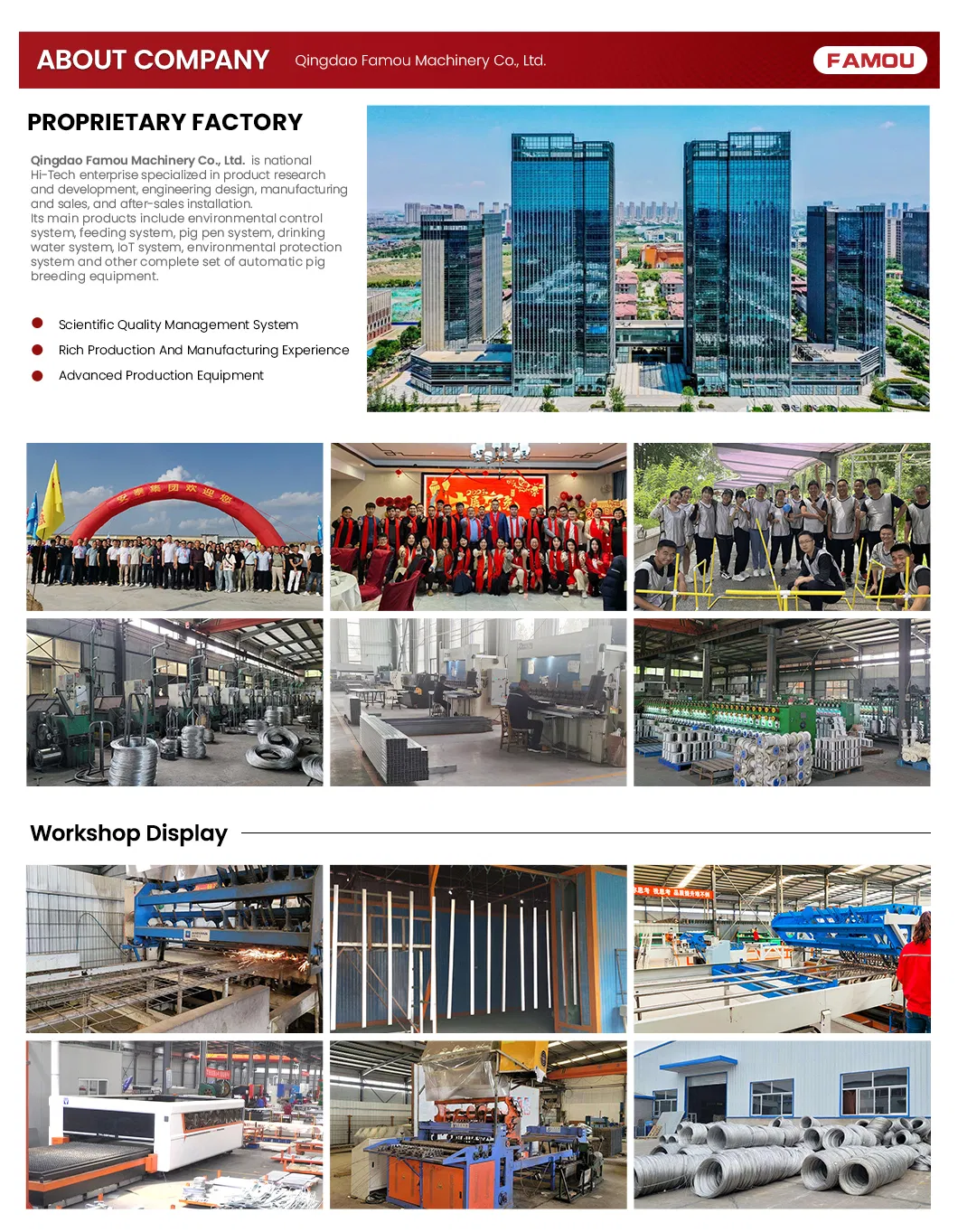 New Design Chicken Poultry Layer Farm a Type Cage with 275g Zinc Hot Dipped Galvanized Magnesium-Zinc Plated Wire Automated Trolley Feed