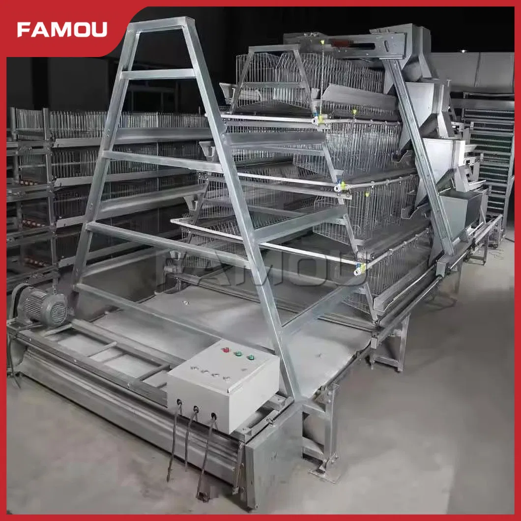 New Design Chicken Poultry Layer Farm a Type Cage with 275g Zinc Hot Dipped Galvanized Magnesium-Zinc Plated Wire Automated Trolley Feed