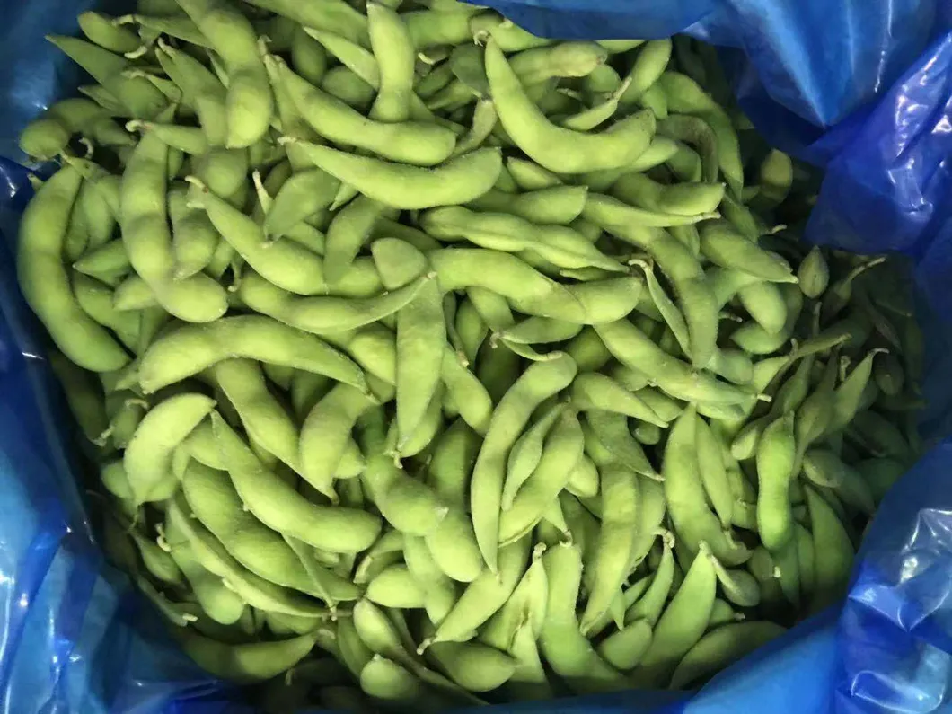 Best Seller Crispy Unsalted Dry Roasted Edamame Kernel