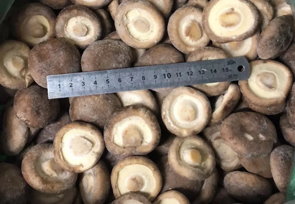 IQF Mushroom Frozen Shiitake Price Whole for Export