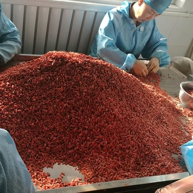 Premium Quality Ningxia Organic Dried Goji Berry Bulk for Food Ingredient Supply