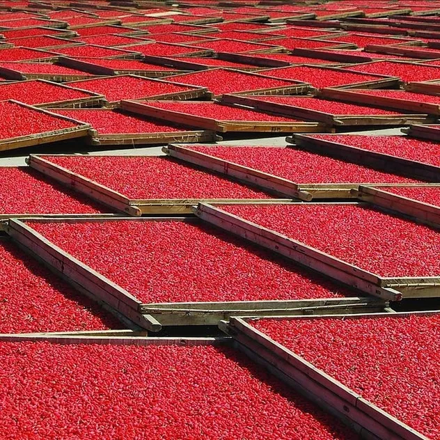 Premium Quality Ningxia Organic Dried Goji Berry Bulk for Food Ingredient Supply