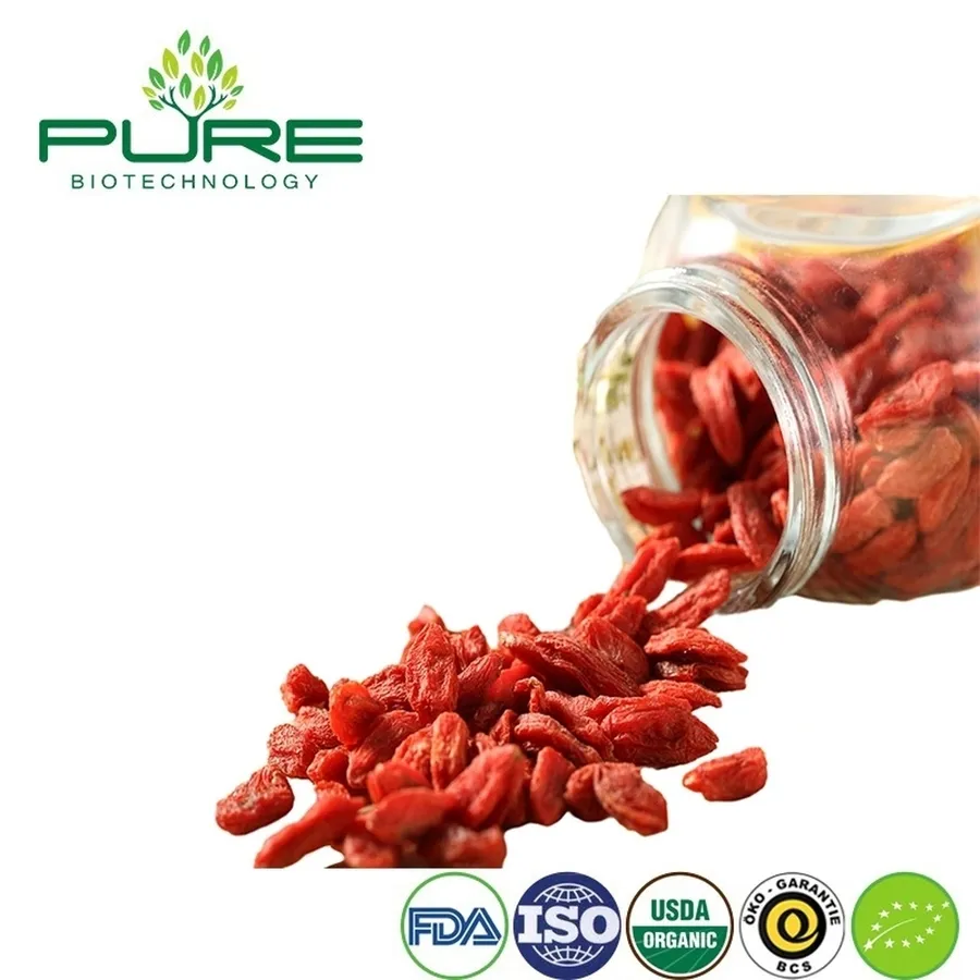 Premium Quality Ningxia Organic Dried Goji Berry Bulk for Food Ingredient Supply
