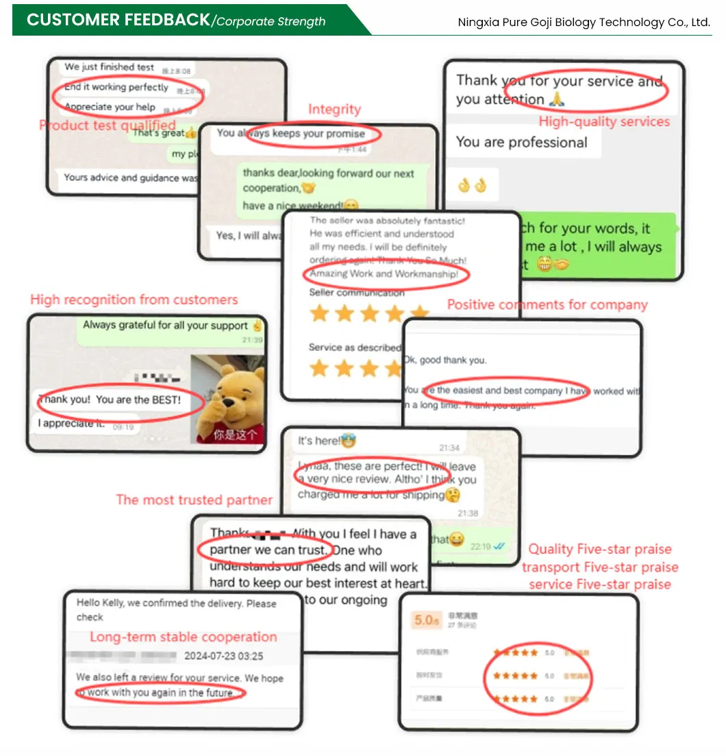 Premium Quality Ningxia Organic Dried Goji Berry Bulk for Food Ingredient Supply