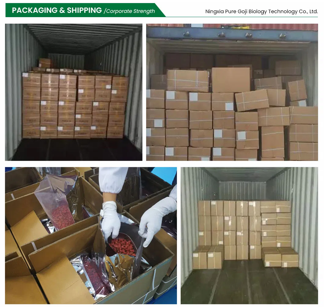 Premium Quality Ningxia Organic Dried Goji Berry Bulk for Food Ingredient Supply