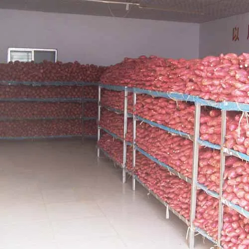 Best Quality Sweet Potato Fries Frozen Food French Fries Sweet Potato Fries Frozen Vegetable