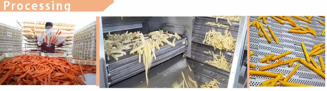 Best Quality Sweet Potato Fries Frozen Food French Fries Sweet Potato Fries Frozen Vegetable