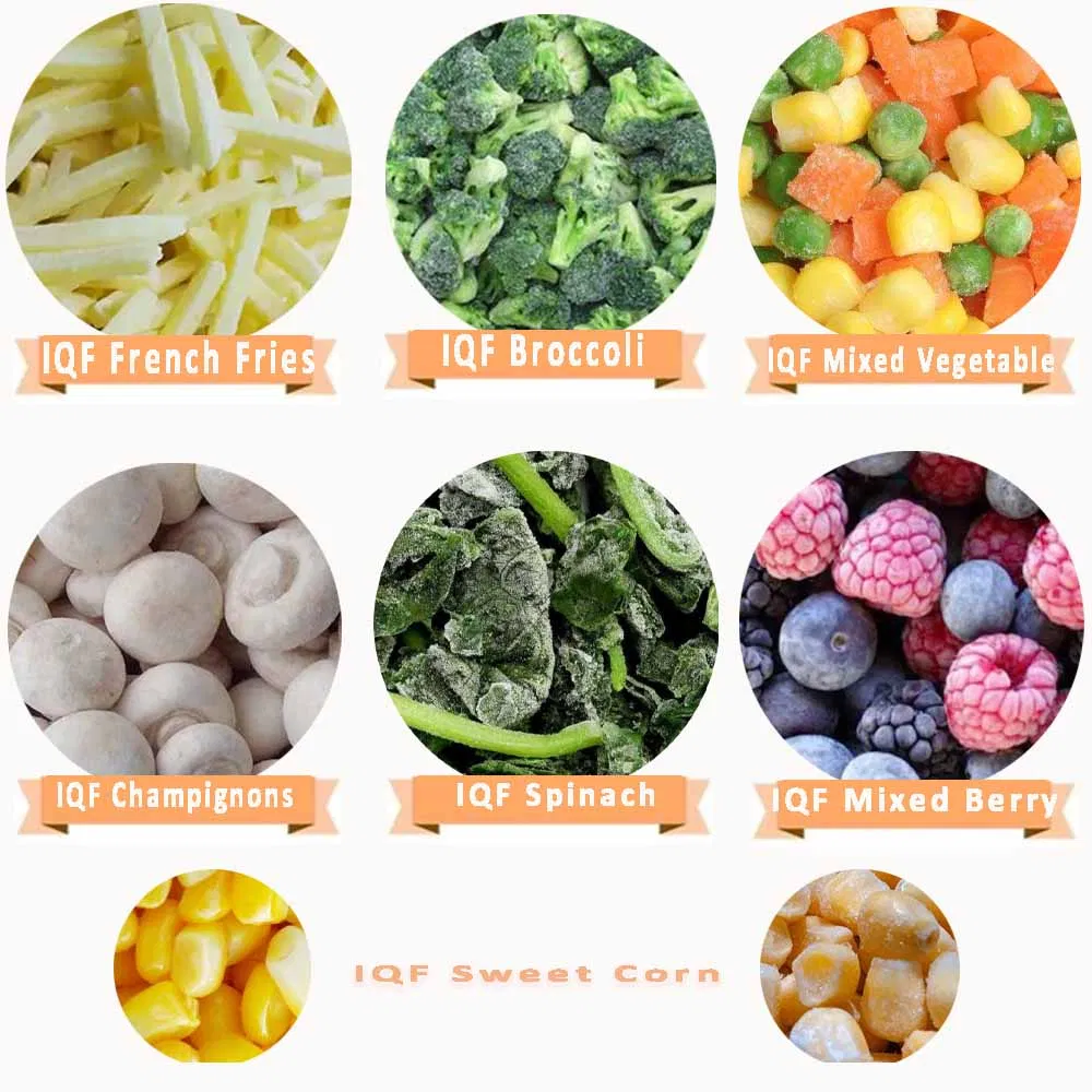Best Quality Sweet Potato Fries Frozen Food French Fries Sweet Potato Fries Frozen Vegetable