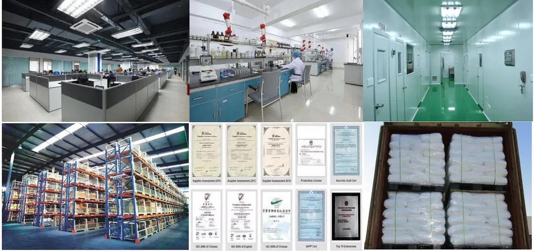 CE/SGS China Factory Hot Selling Direct Supply Good Quality L+ Choline Bitartrate