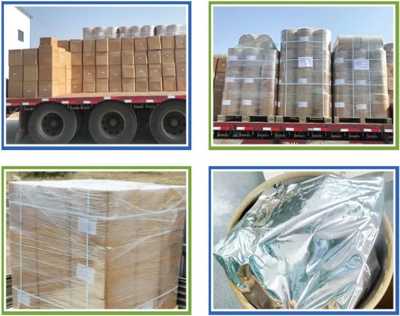 CE/SGS China Factory Hot Selling Direct Supply Good Quality L+ Choline Bitartrate
