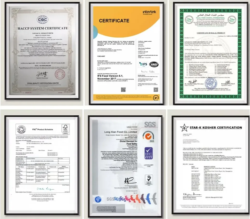 Vegetarian Instant Noodles in Bowl - No Msg, Healthy Fast Food