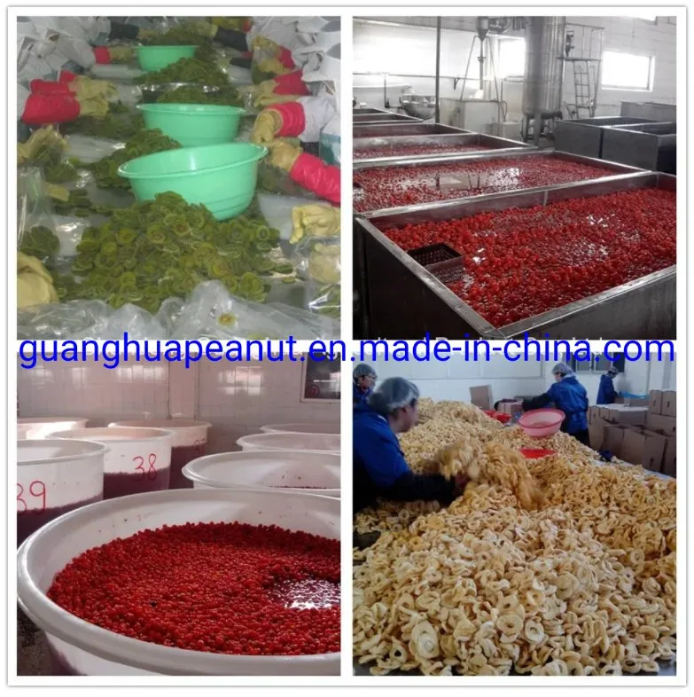 Delicious Dried Strawberry New Crop with Ce