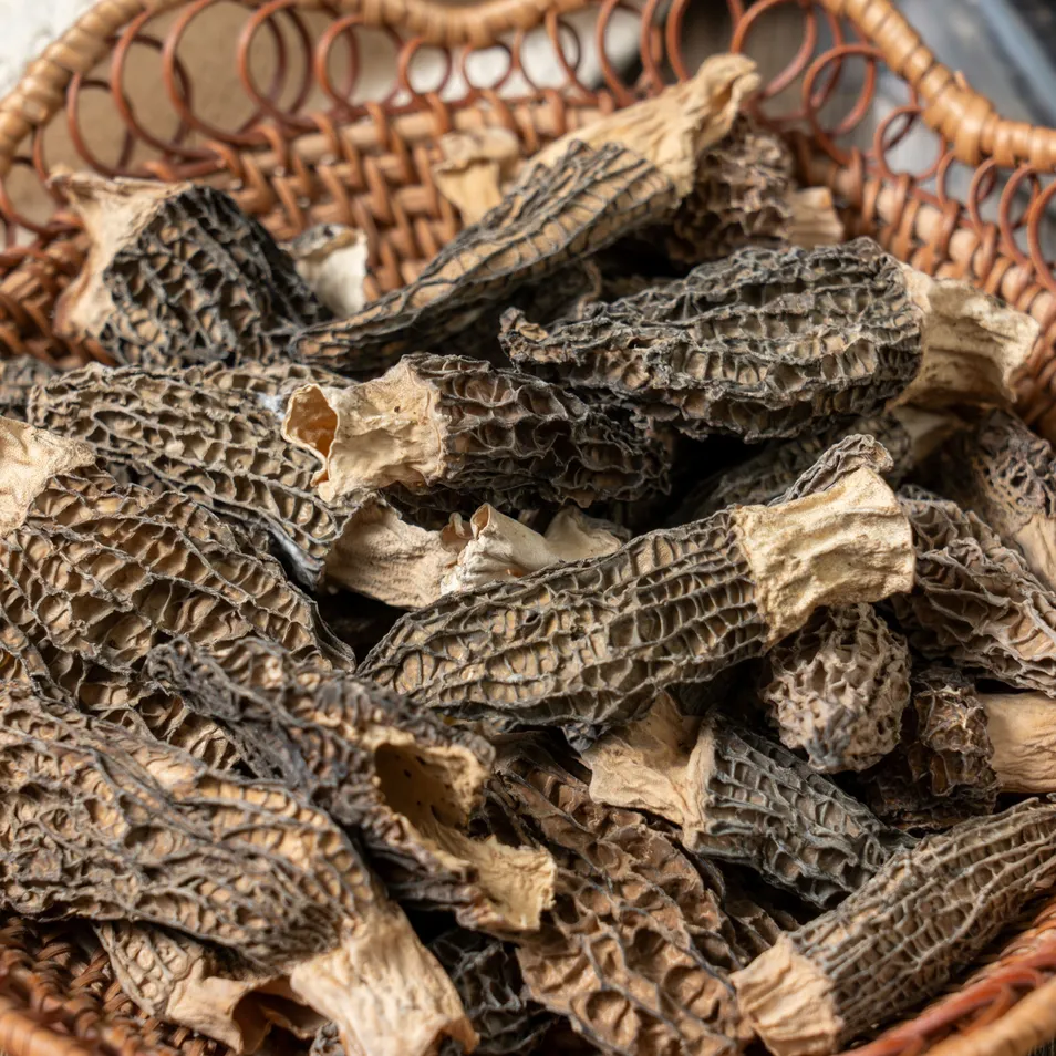 Wholesale-Grade Dried Morel Mushrooms - Specialized for Catering Hotels & Export