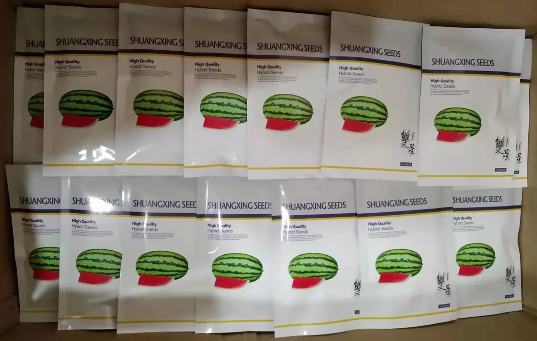 Big Size Round Black Skin Watermelon Hybrid Watermelon Seeds