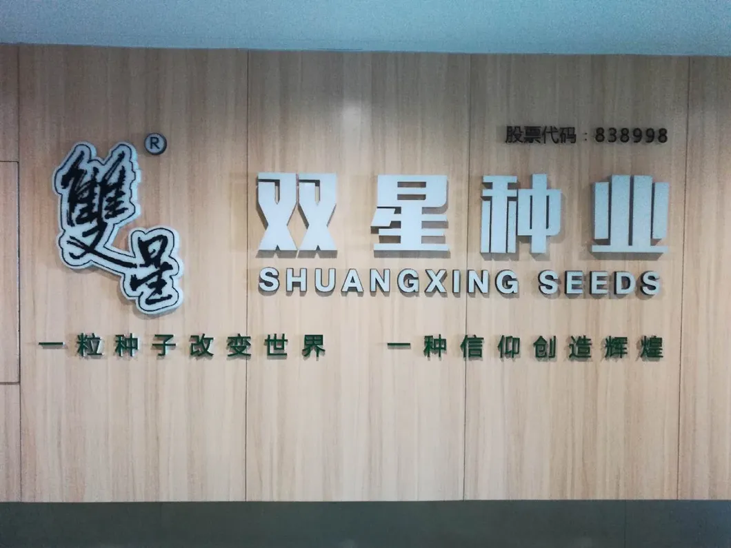 Big Size Round Black Skin Watermelon Hybrid Watermelon Seeds