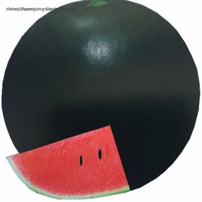 Big Size Round Black Skin Watermelon Hybrid Watermelon Seeds