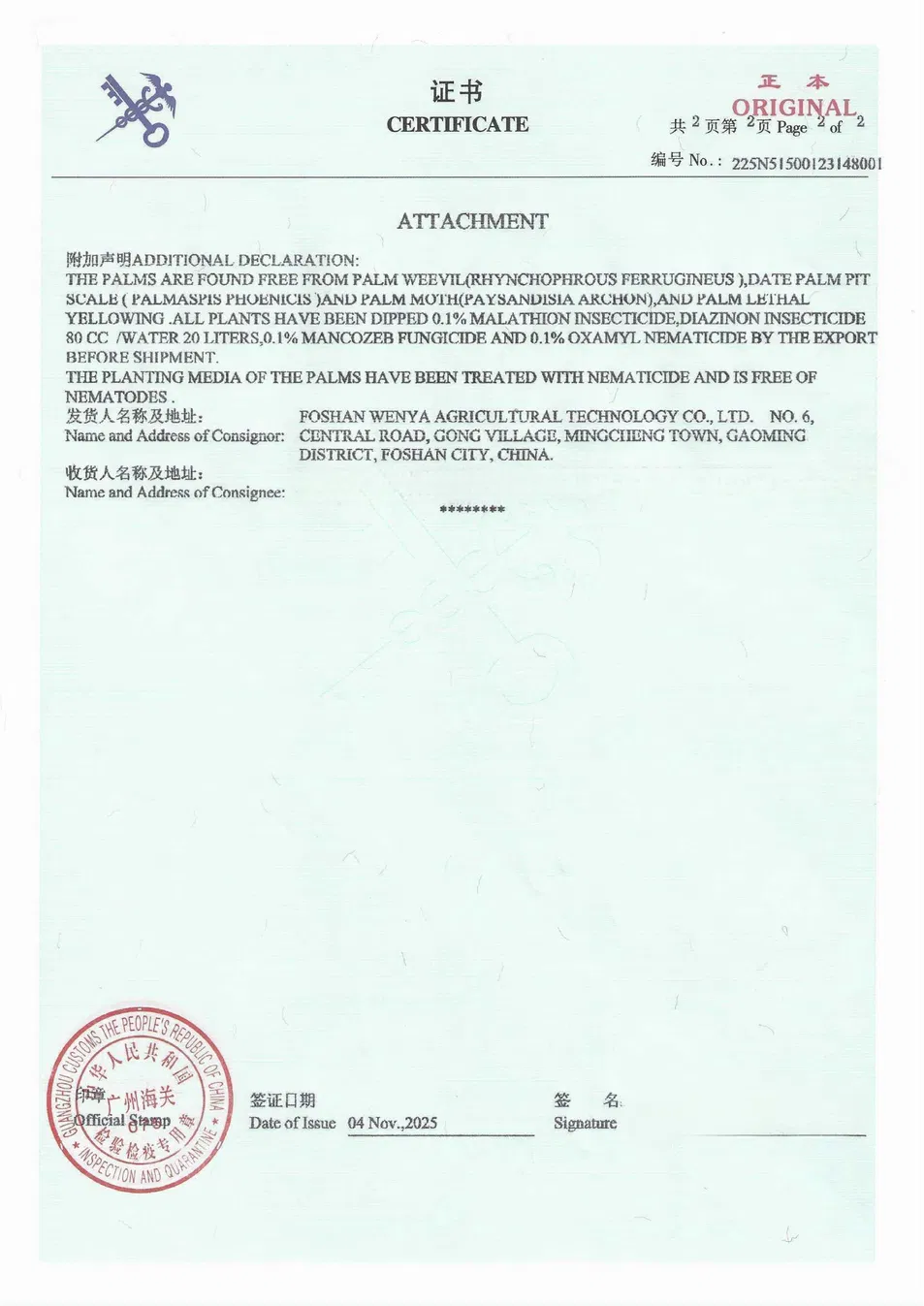 Outdoor Ficus Religiosa Ornamental Tree Wholesale Live Plant Tree Seedlings