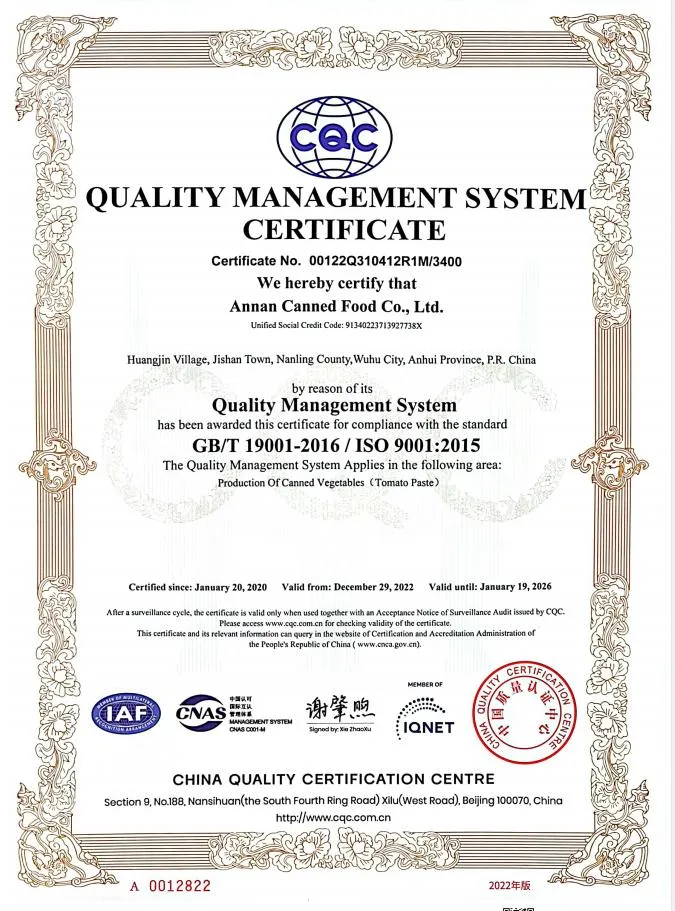 Sunon Brand Tomato Paste with 28-30% Concentrate in Self-Standing Pouch