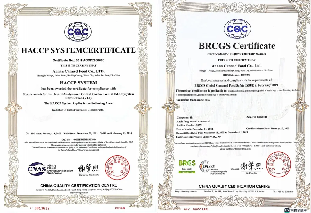 Sunon Brand Tomato Paste with 28-30% Concentrate in Self-Standing Pouch