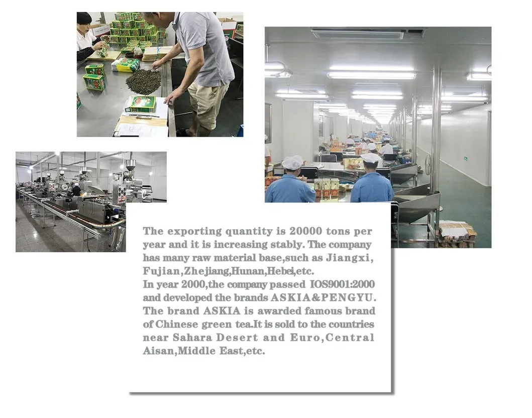 China Green Tea Gunpowder 3505 Clean Gunpowder Green Tea Chinese Green Tea Price Loose Leaf Tea The Vert De Chine