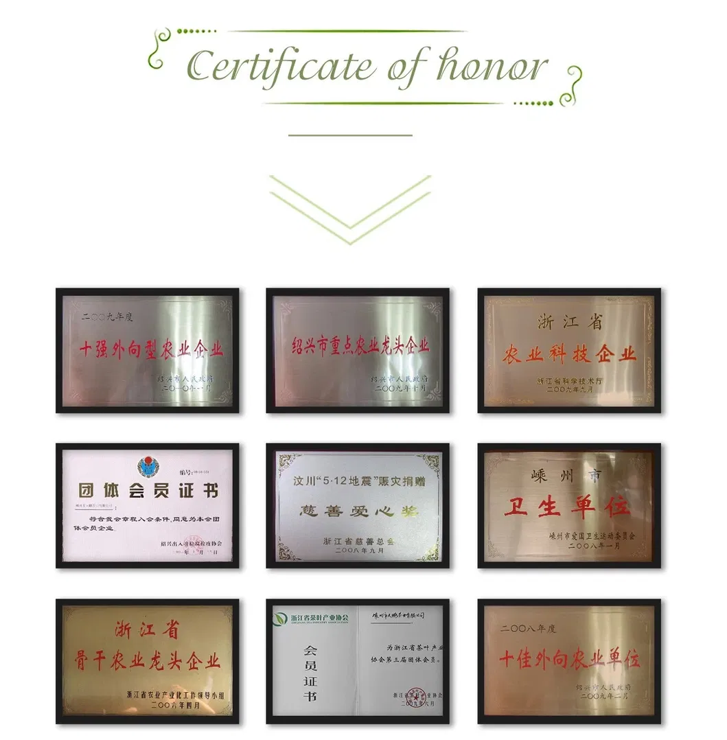 China Green Tea Gunpowder 3505 Clean Gunpowder Green Tea Chinese Green Tea Price Loose Leaf Tea The Vert De Chine