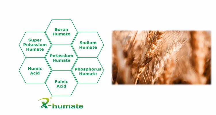 98% Concentration Biostimulation Chitosan Oligosaccharride