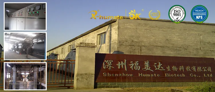 98% Concentration Biostimulation Chitosan Oligosaccharride