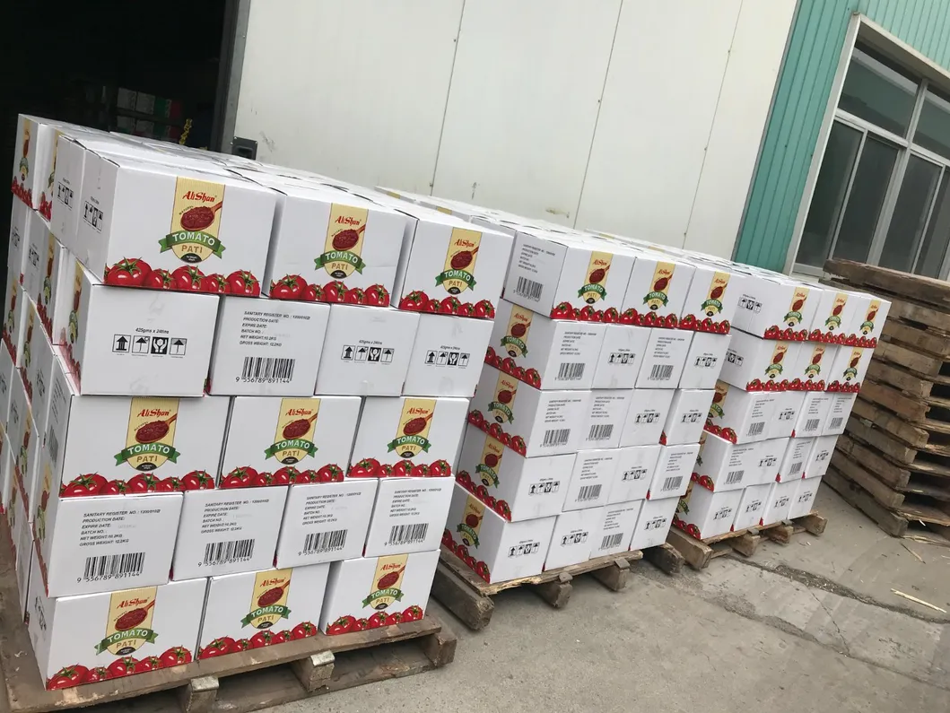 Canned Tomato Sauce Factory Price 28-30% 2025 Crop