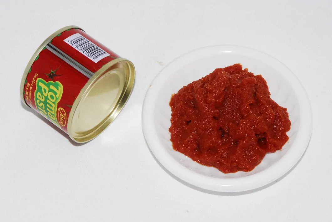 Canned Tomato Sauce Factory Price 28-30% 2025 Crop