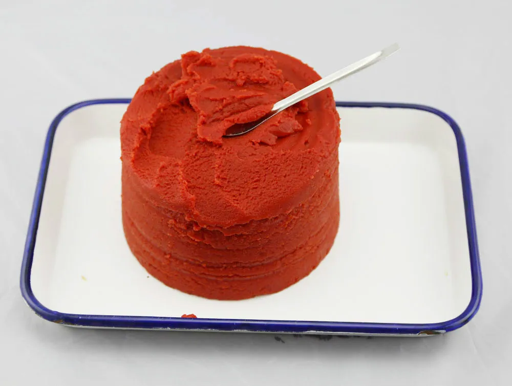 Canned Tomato Sauce Factory Price 28-30% 2025 Crop
