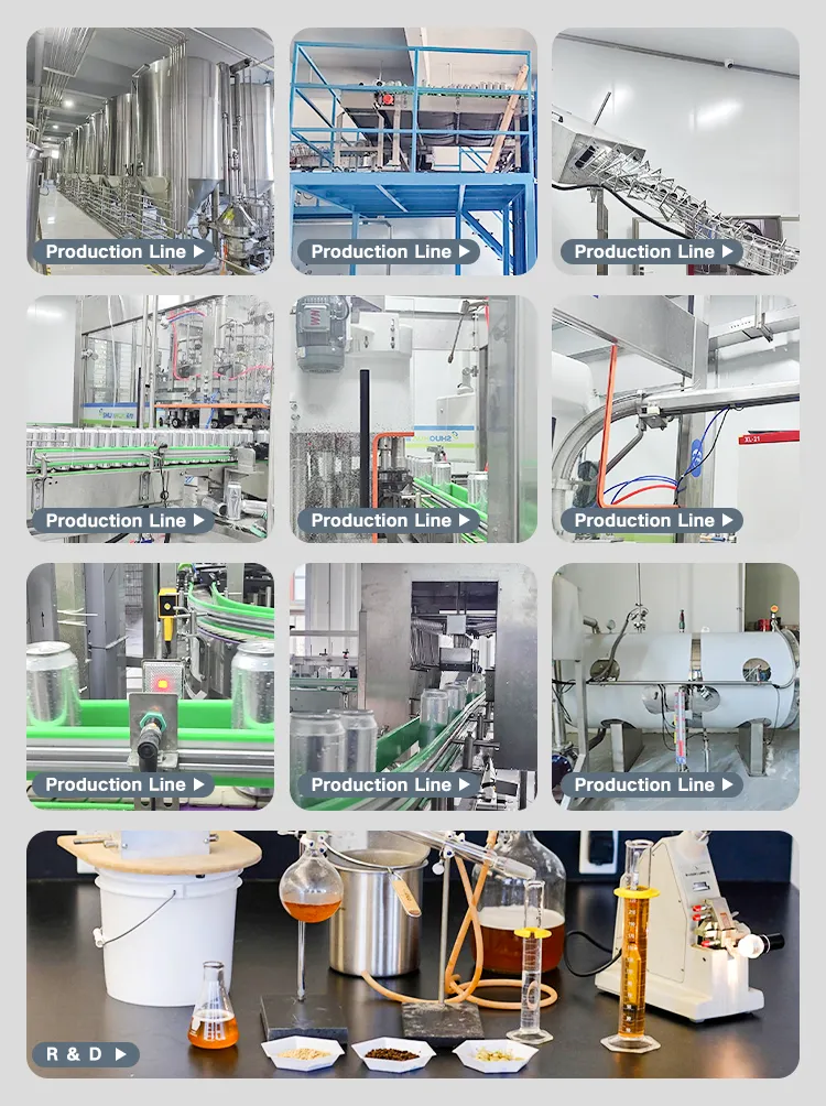 Mixed Flavor Craft Beer – OEM Service with Attractive Can Design