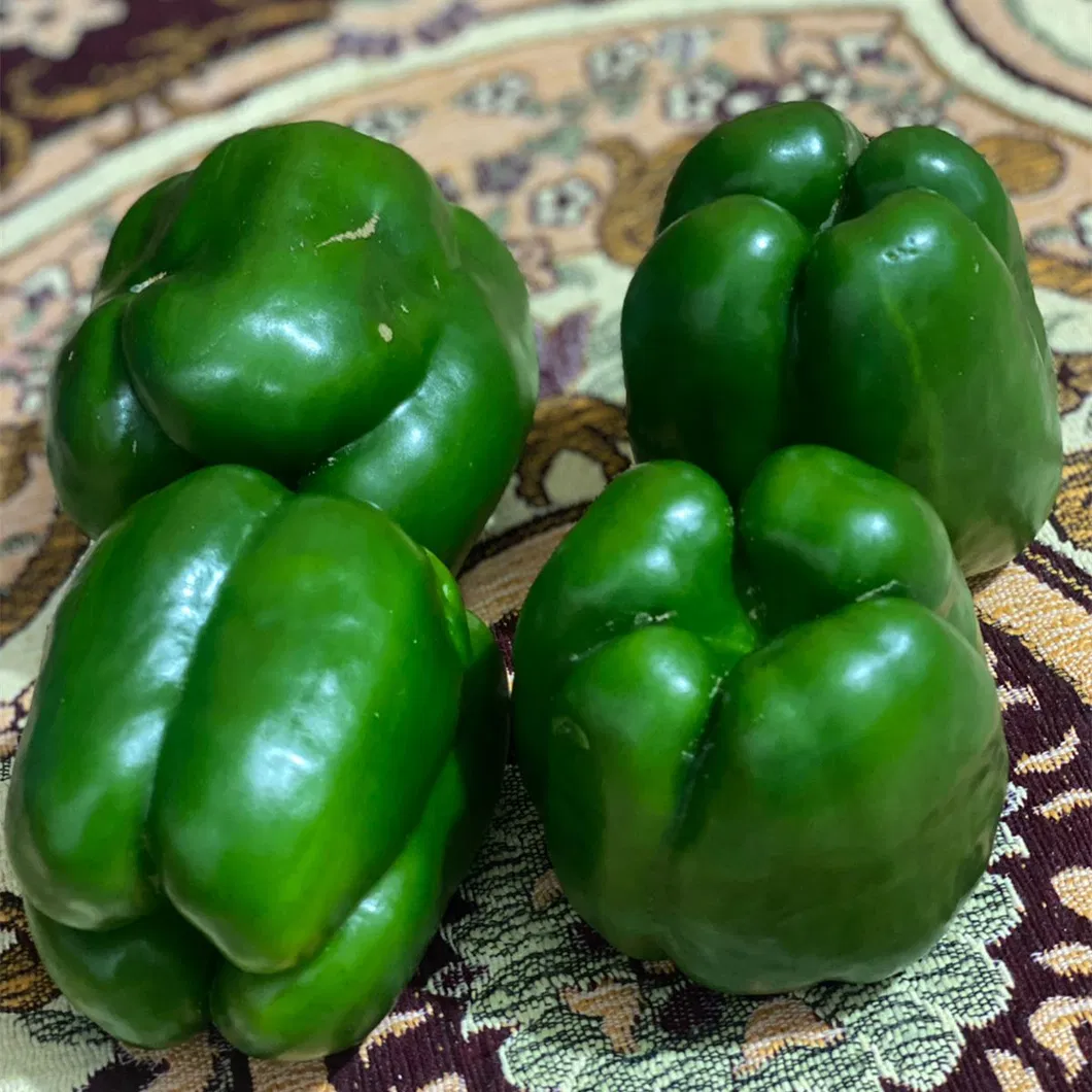 Hot Sale Hybrid F1 Deep Green Sweet Pepper Seeds for Growing-SL04