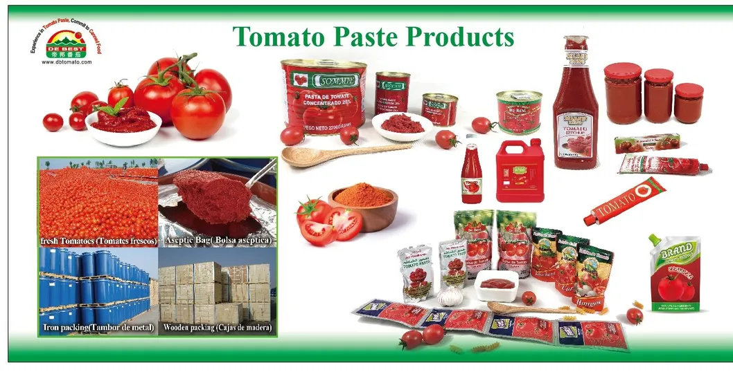 Ketchup Tomato Sauce Bottle Big Quantity 1.3kg Export to Europe