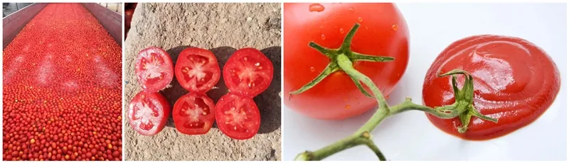 Ketchup Tomato Sauce Bottle Big Quantity 1.3kg Export to Europe