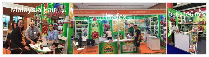 Ketchup Tomato Sauce Bottle Big Quantity 1.3kg Export to Europe