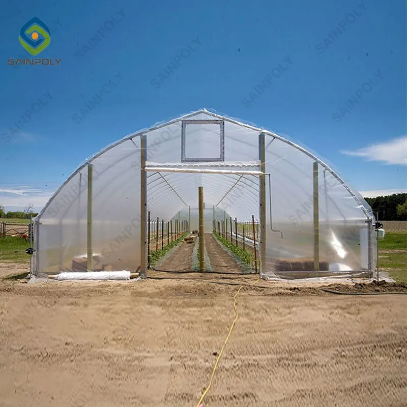 Agricultural High-Quality Greenhouse Film Tunnel Greenhouse for Vegetables/Flowers Growth