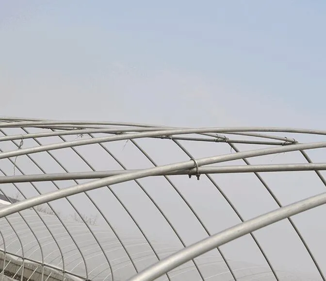 Agricultural High-Quality Greenhouse Film Tunnel Greenhouse for Vegetables/Flowers Growth