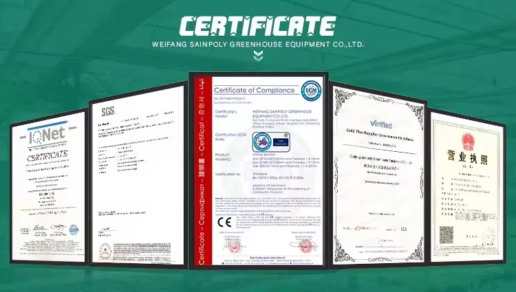 Agricultural High-Quality Greenhouse Film Tunnel Greenhouse for Vegetables/Flowers Growth