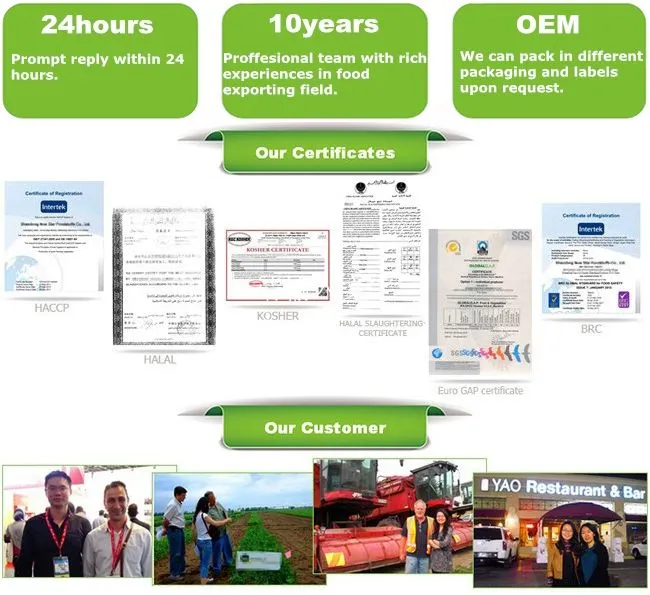 Delicious Premium Crumbed Onion Rings for Family Celebrations