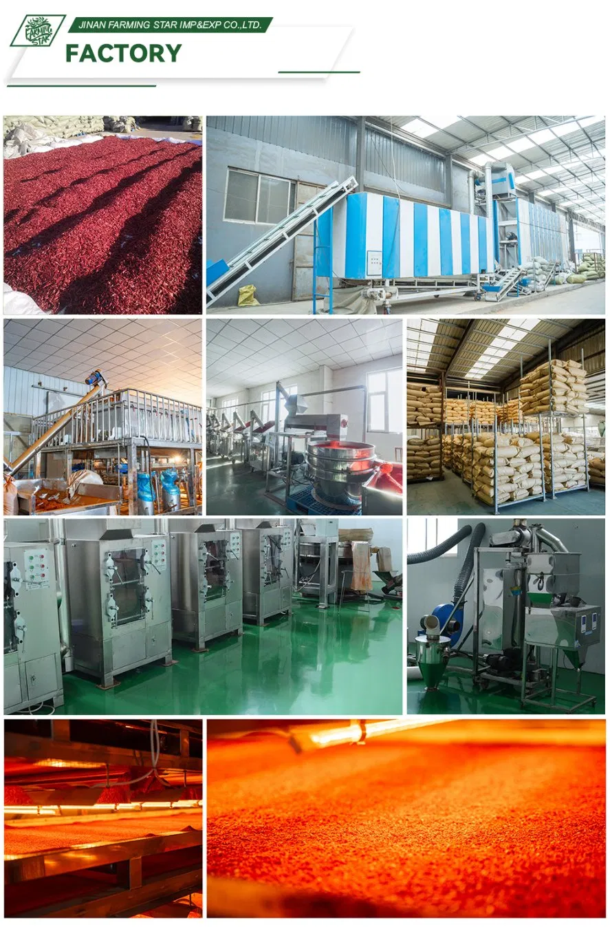 Pure Natural Chilli Paprika Pepper 24mesh Chilli Powder Grade a for Seasoning Bag Red Chilli Red Pepper Hot Pepper Chilli Fleaks