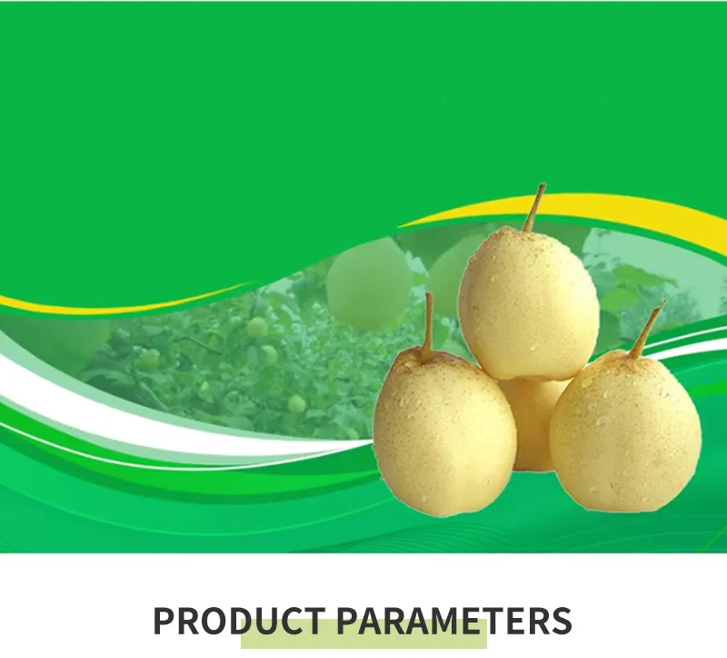 China New Crop Fresh Ya Pear Chinese Fresh Pear Fruit Juicy Pear