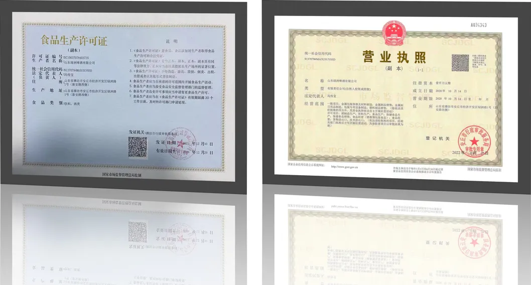 ODM Craft Light Ale 330ml Case - 12 Bottles 6%Vol 10° P ISO9001 Certified Beer