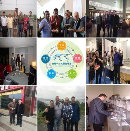 Food Grade Modified Tapioca Starch Acetylated Distarch Phosphate for Fish Ball and Meat Ball