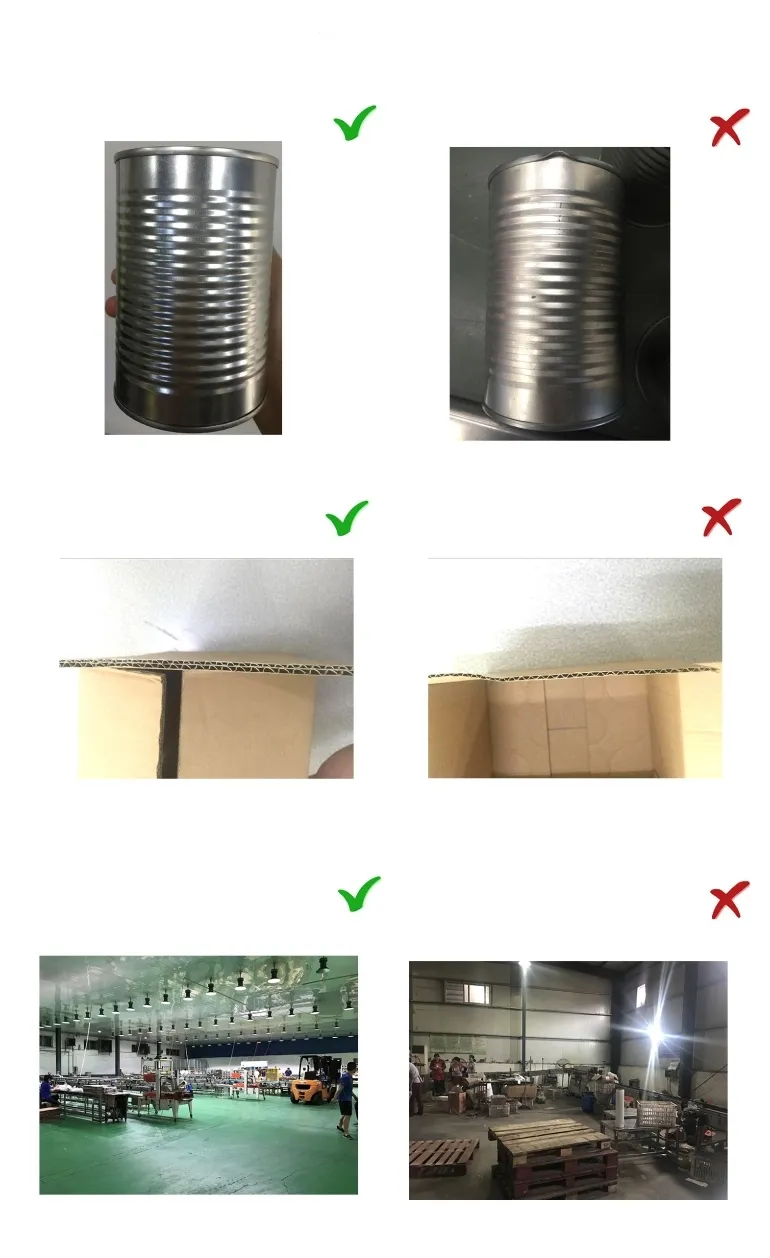 Cats Food Canned Dace Fish with Beans