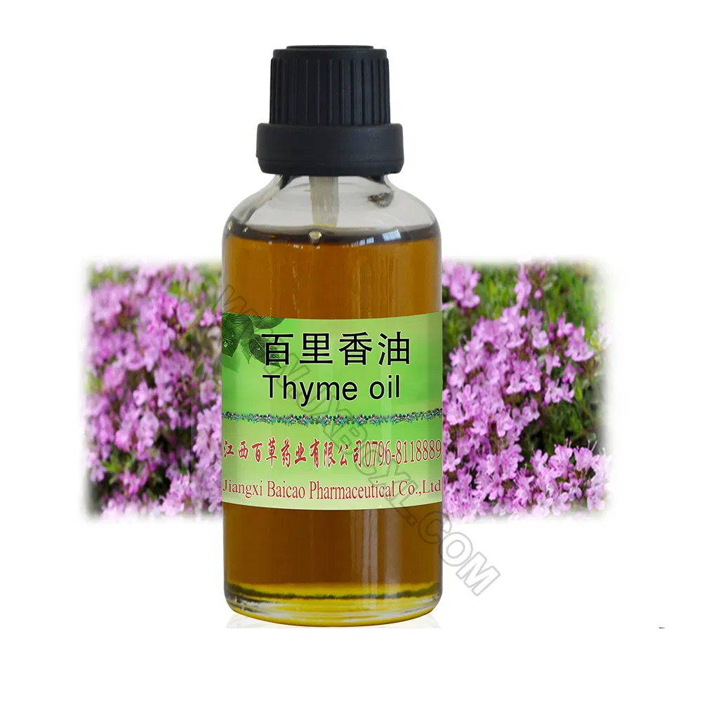 Natural Fresh Thyme Essential Oil New Pure for Cosmetic