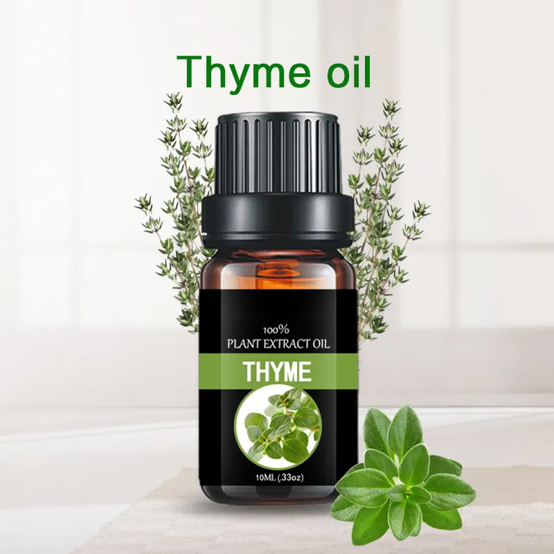 Natural Fresh Thyme Essential Oil New Pure for Cosmetic