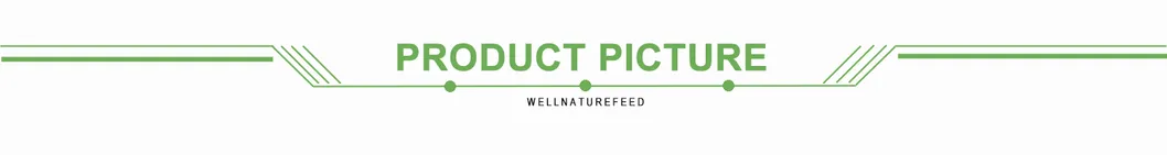 Factory Bulk Dried Oregano Leaf Leaves Powder Oregano Extract Powder