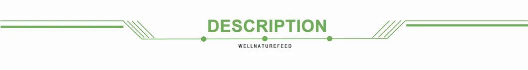 Factory Bulk Dried Oregano Leaf Leaves Powder Oregano Extract Powder